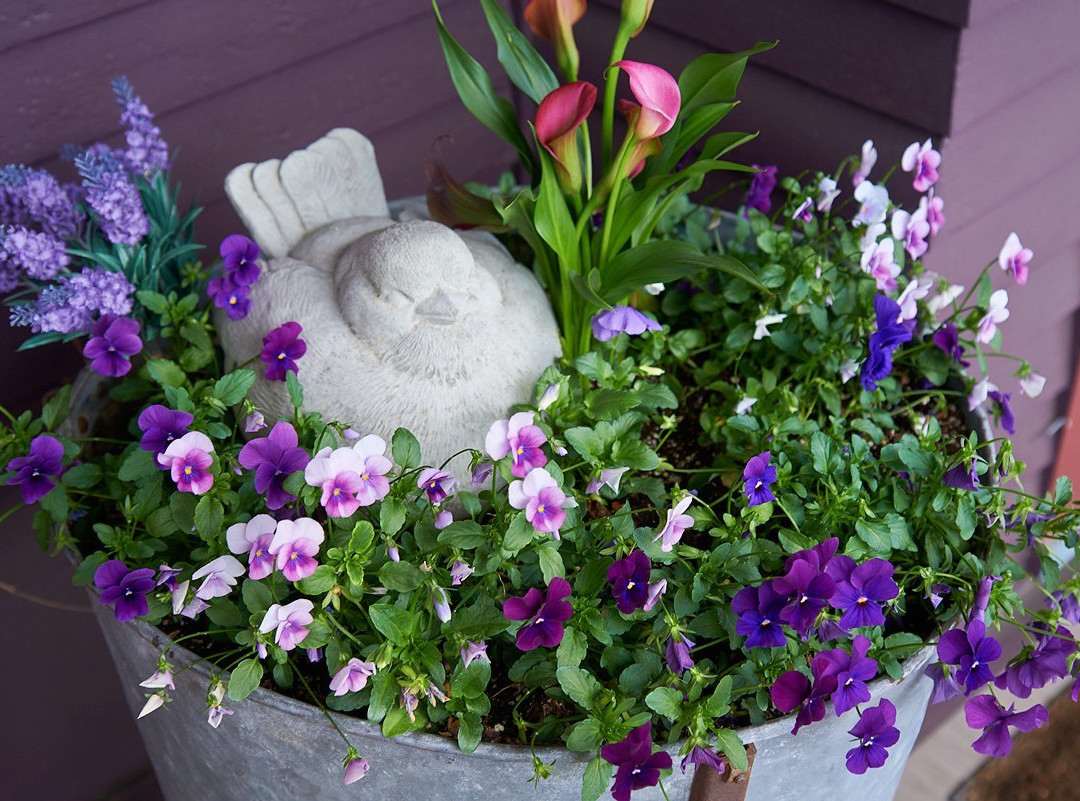 J. Palen House Bed & Breakfast主图