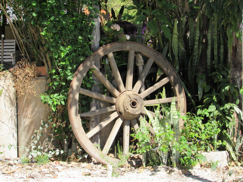 Quilombo do Rosario主图