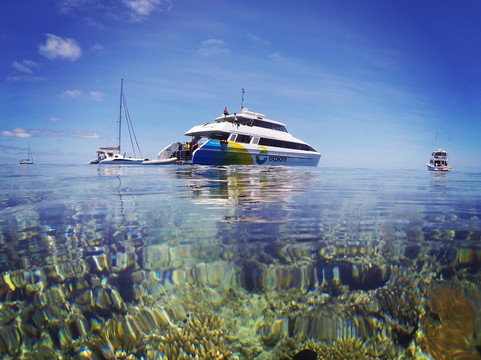 探险队-边缘航行-汉密尔顿岛必去景点