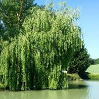 Moulin d'Encor主图