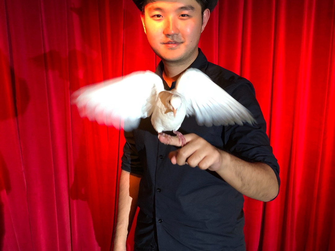 Australian Museum of Magical Arts景点图片