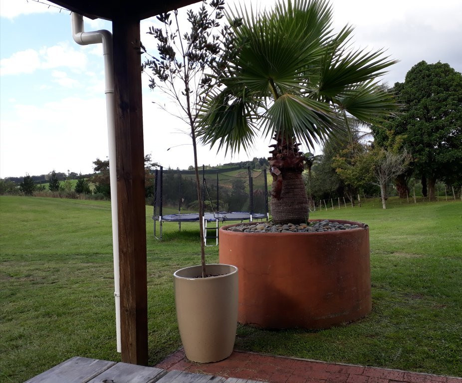 Smallgusta & Hot Pools-陶兰加必去景点