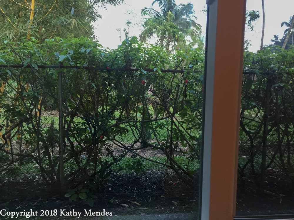 阿诺特之家主图