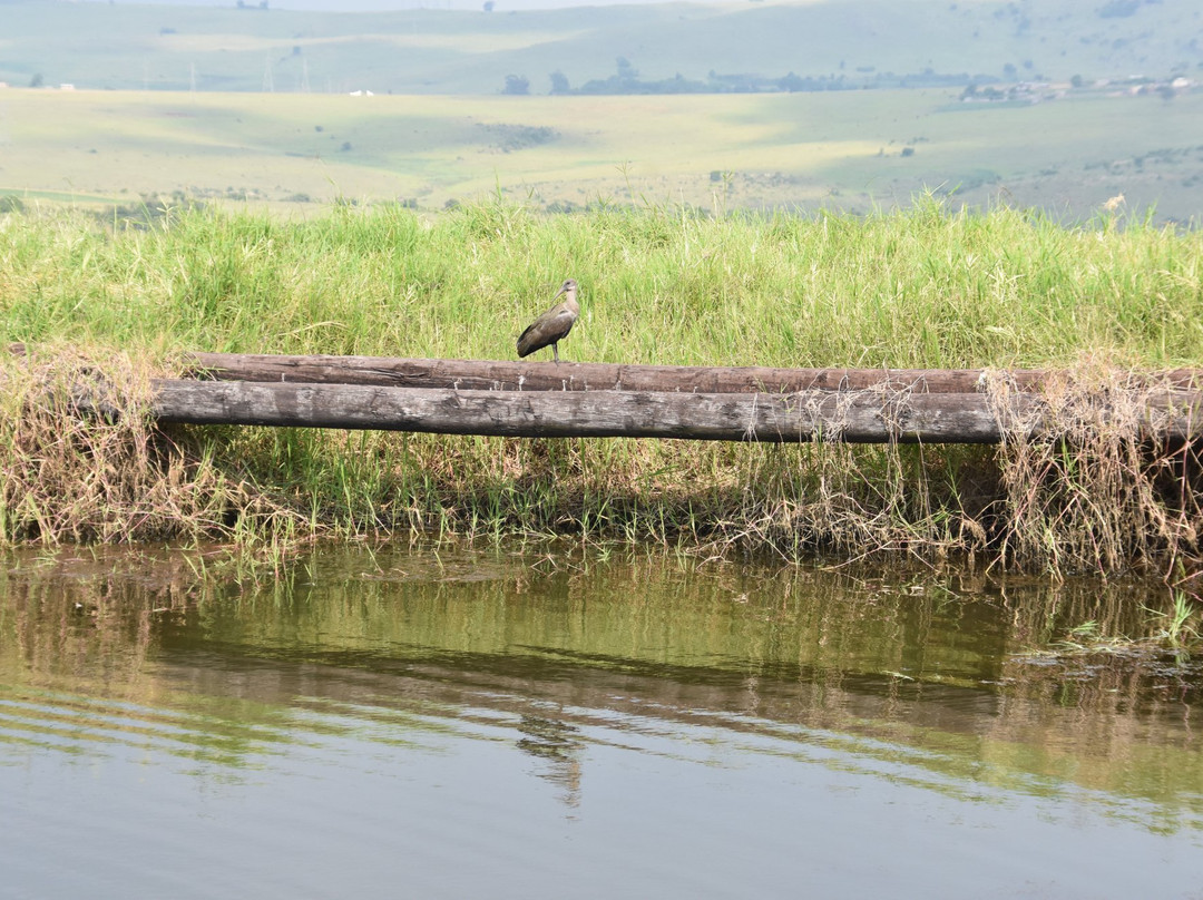 Dusk to Dawn Farm Guesthouse主图