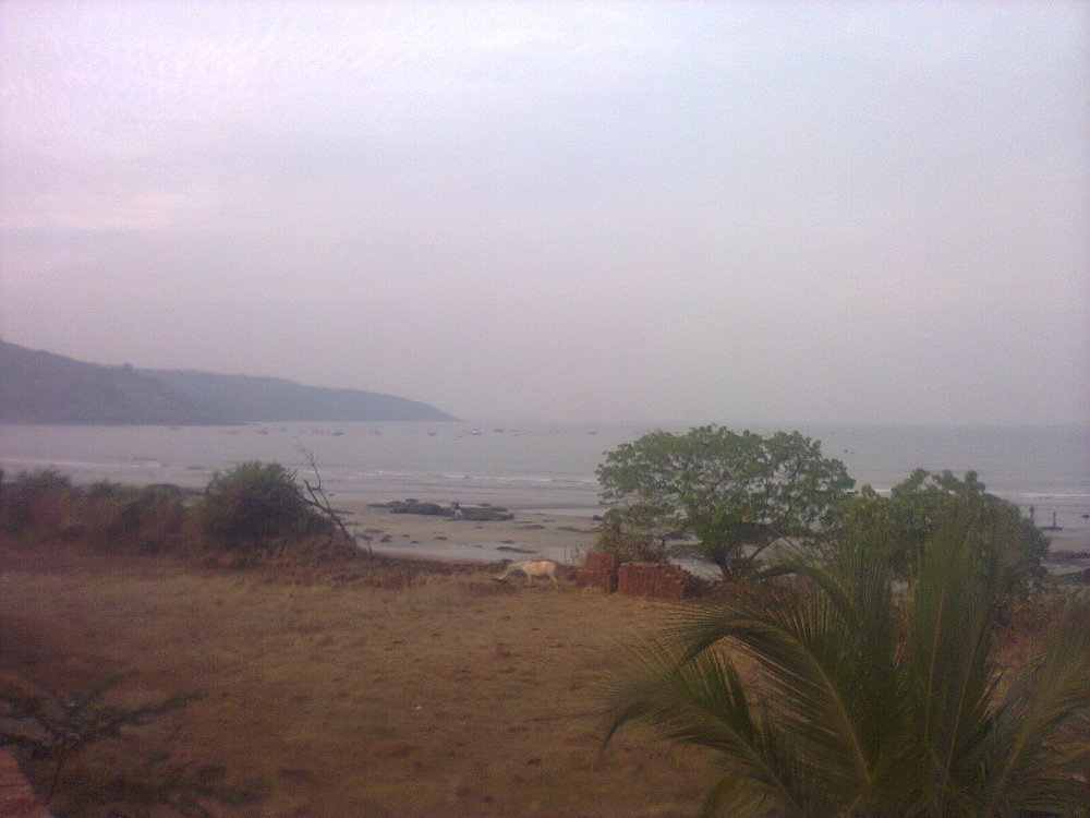 Sagar Sawali Beach Resort Ladghar-泳池