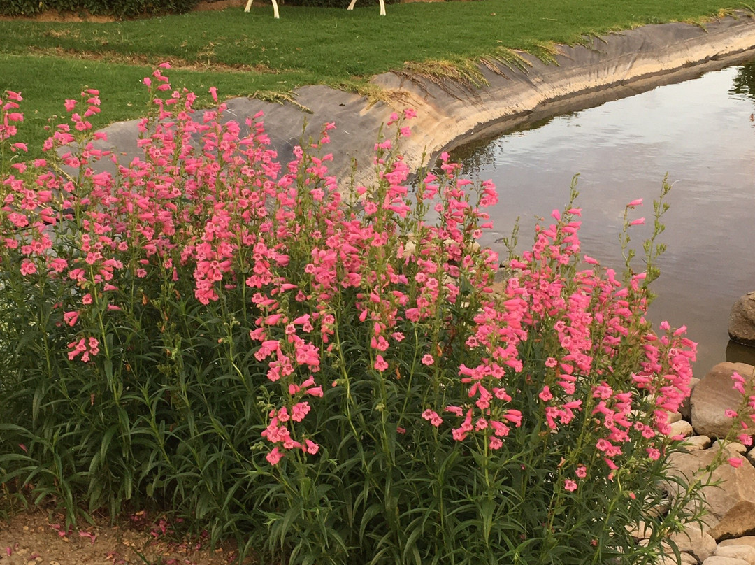 Forellenhof Guest Farm主图