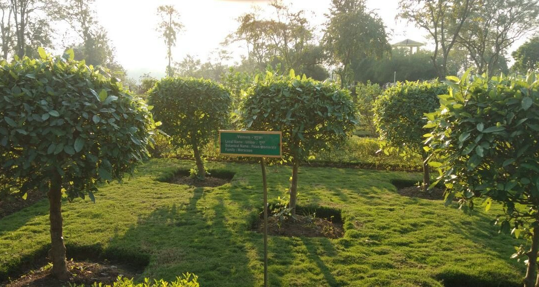 Nakshatra Garden-锡尔瓦萨必去景点