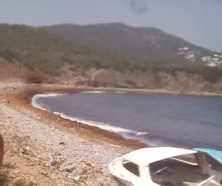 Playa de Cala Arena景点图片