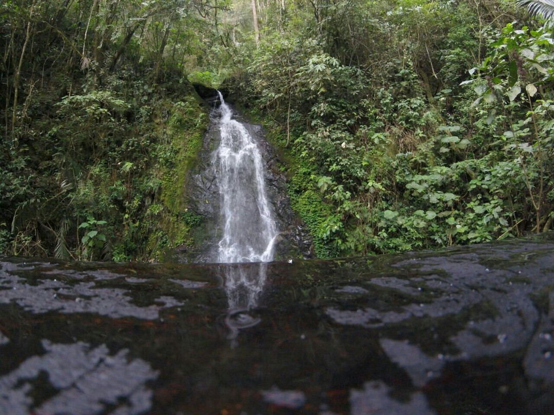 Cascadas De Cocora-萨伦托必去景点
