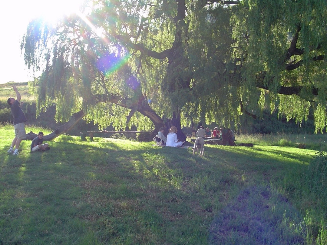 De Molen Farm Clarens主图