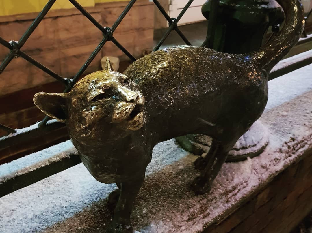 Cat Sculpture景点图片