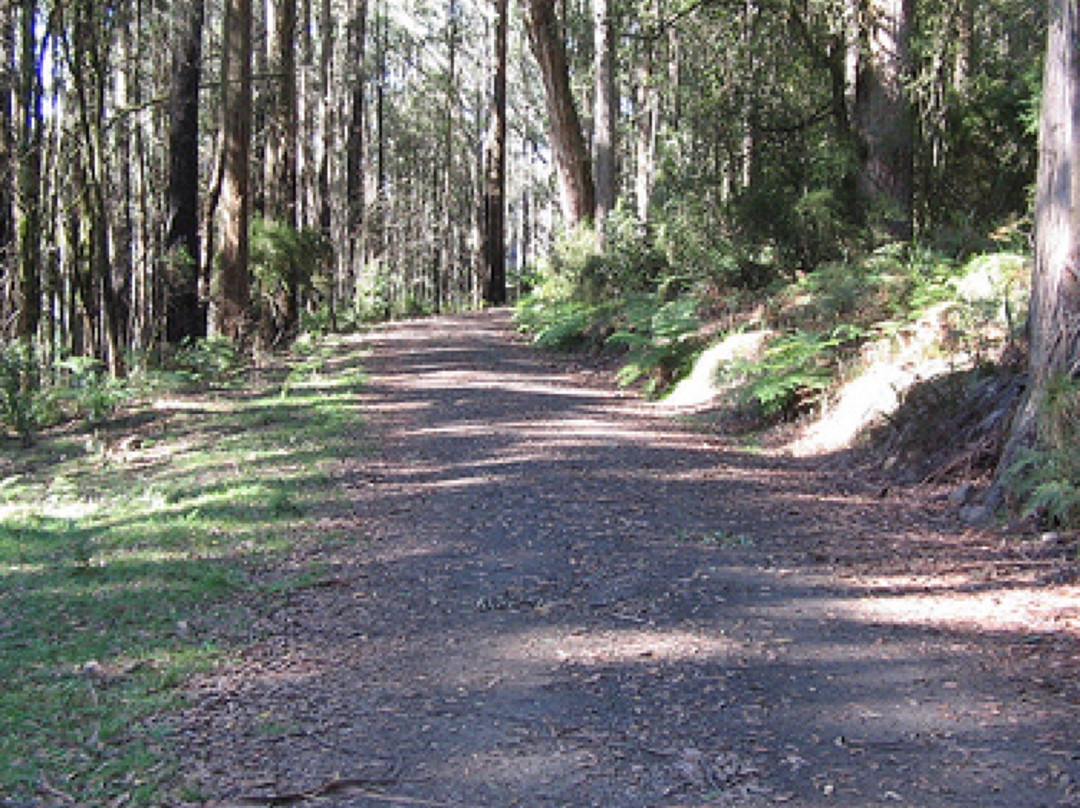 Mount Riddell-希尔斯维尔必去景点