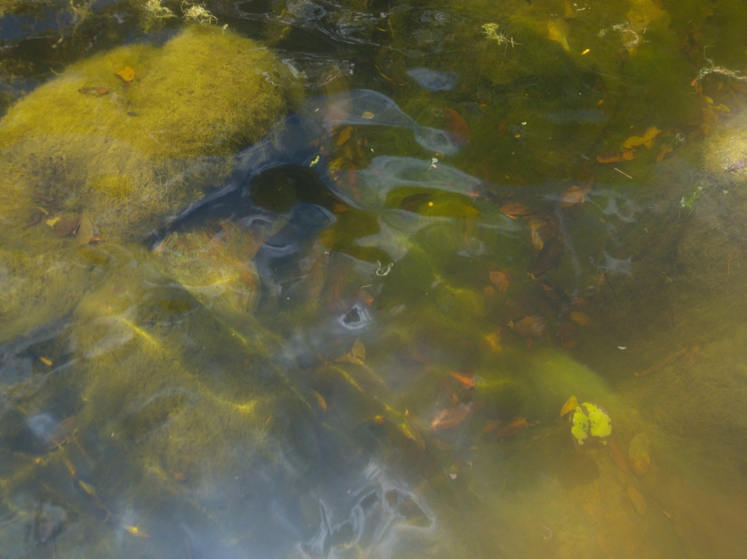 Pedra da Arara-Macambira必去景点