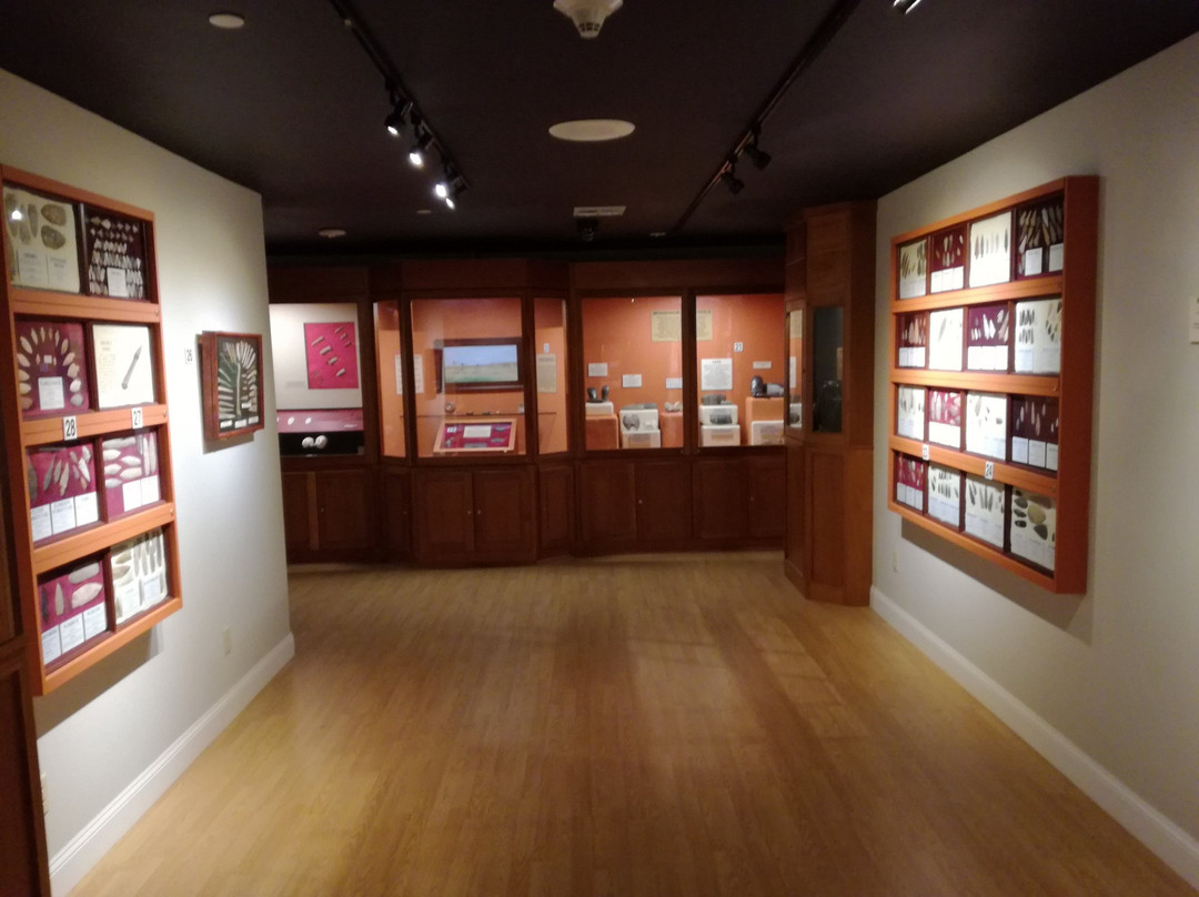 Museum of Native American History景点图片