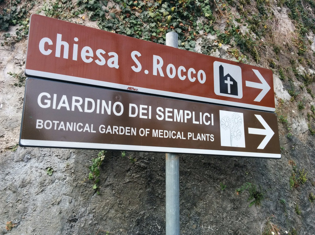 Giardino dei Semplici景点图片