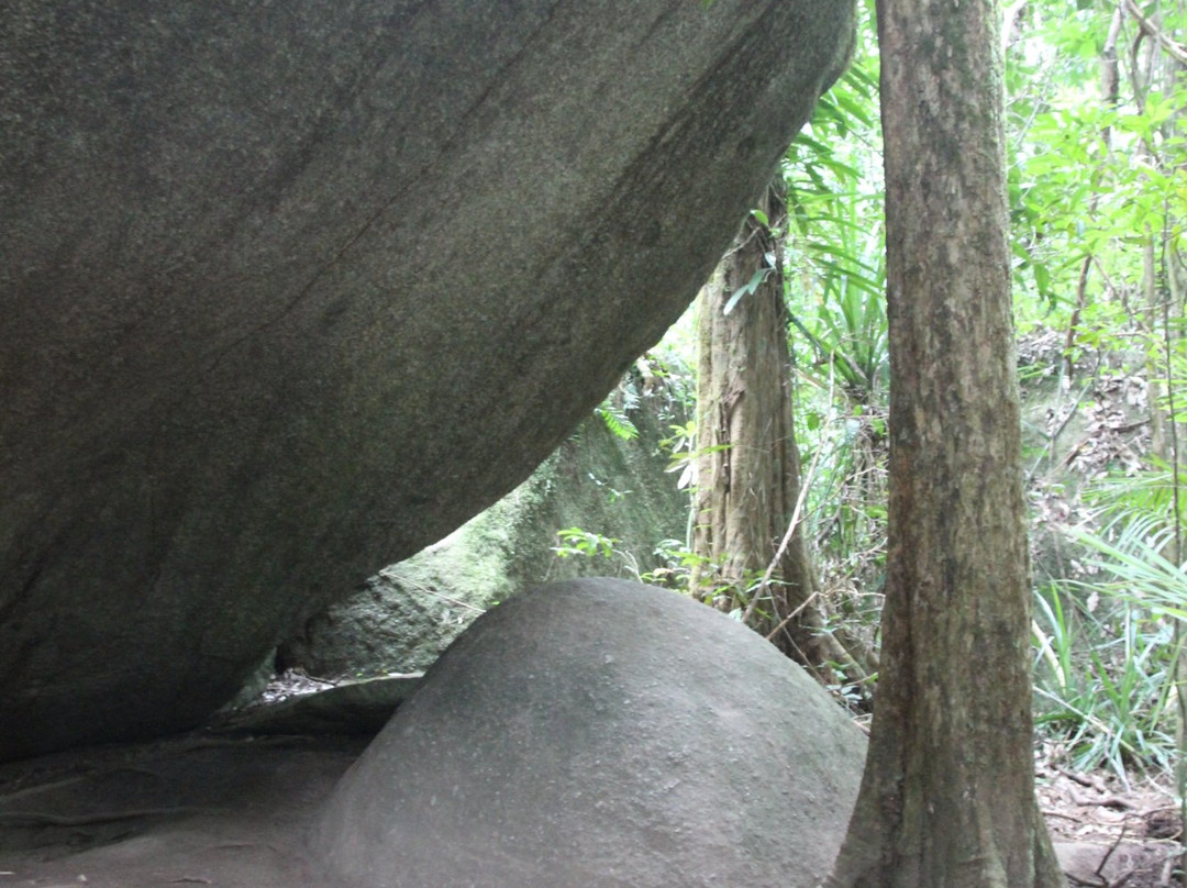 Daintree Mangroves Wildlife Sanctuary-Mossman必去景点