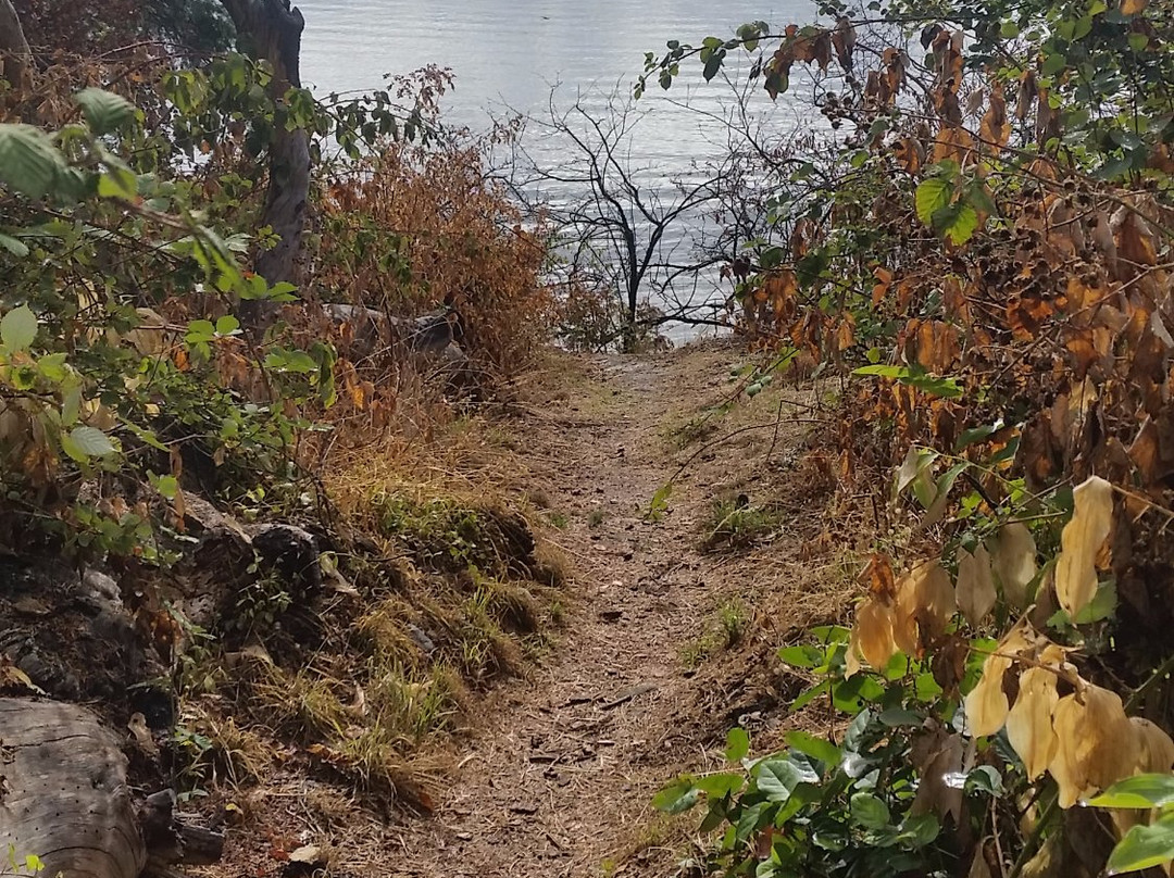 Caulfeild Cove景点图片