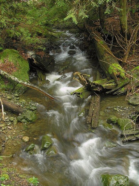 Beach Estates Park-纳奈莫必去景点