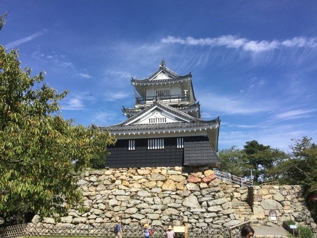 Hamamatsu Castle景点图片