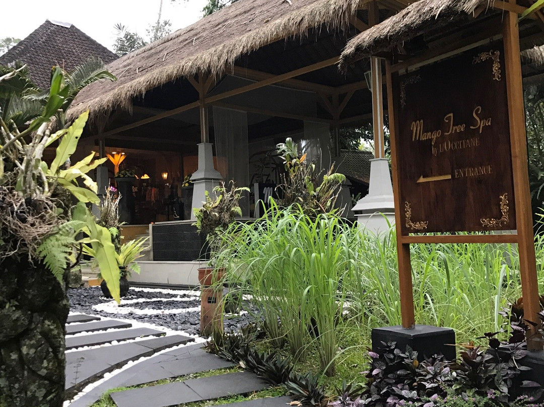 巴龙蝴蝶度假村主图