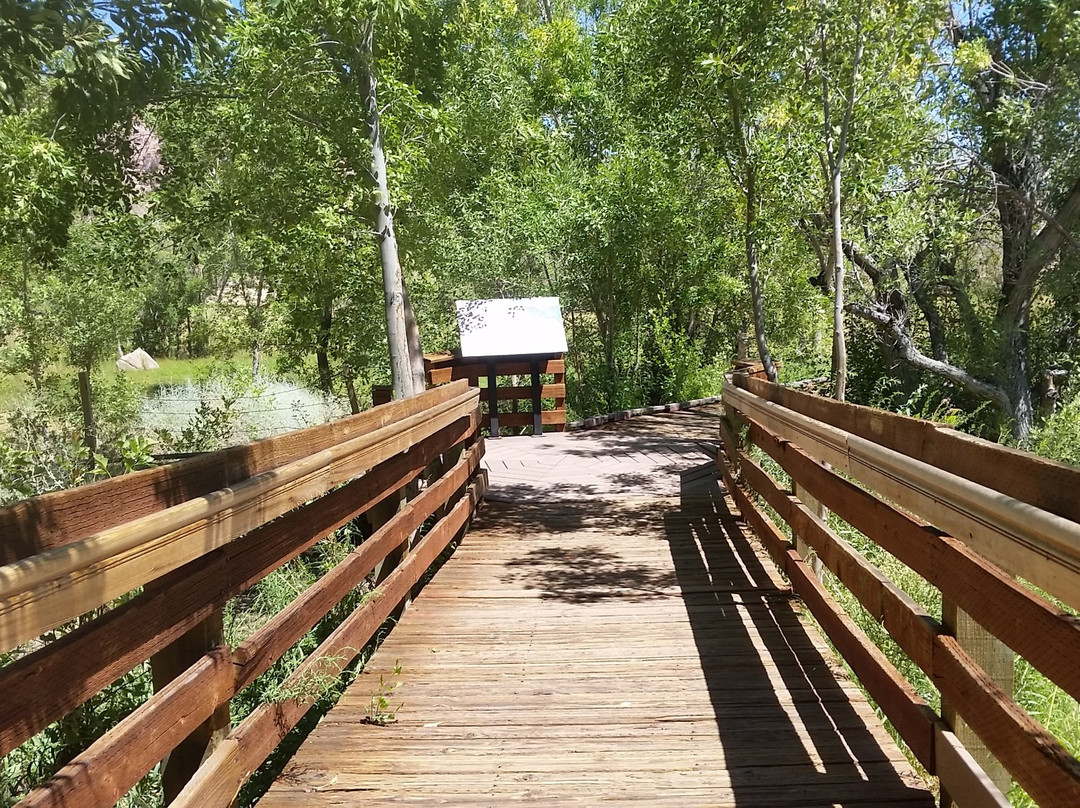 Red Spring Picnic Area-拉斯维加斯必去景点