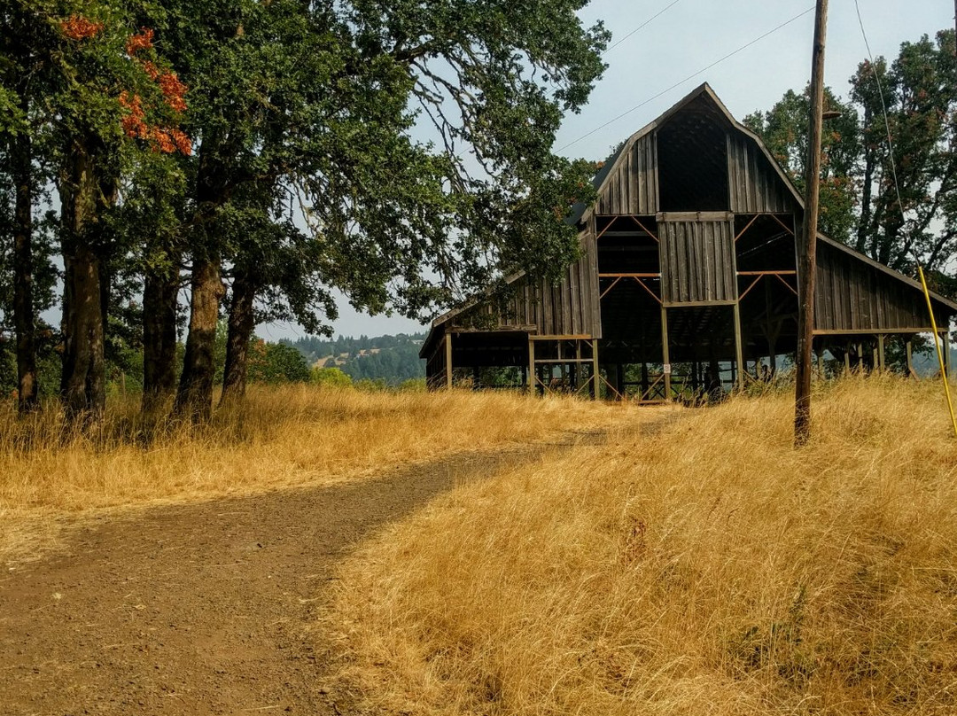 Bald Hill Natural Area-科瓦利斯必去景点