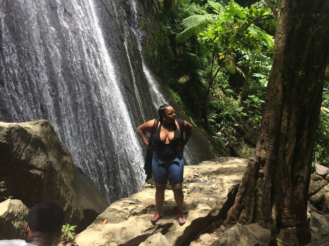 Catarata La Mina-云盖国家森林公园必去景点