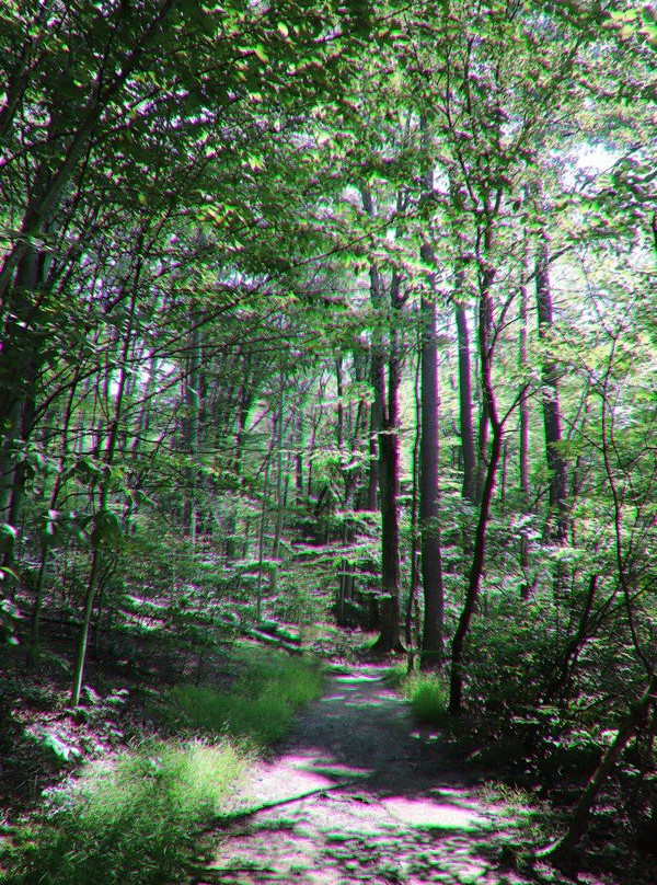 St. Johns Conservation Area-Thorold必去景点