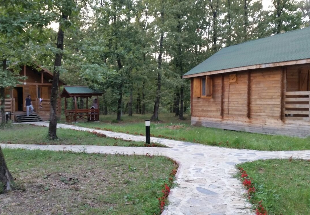 Sakarya Il Ormani Tabiat Parki-Sapanca必去景点