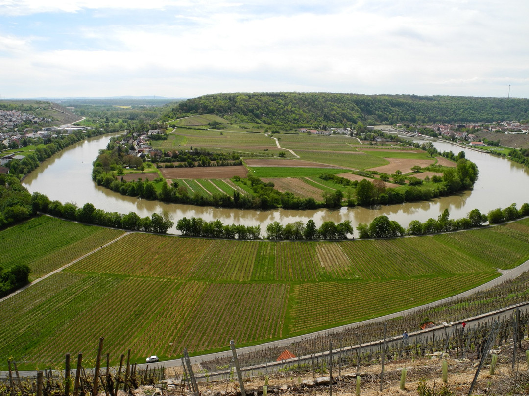 Weinort Mundelsheim am Neckar景点图片