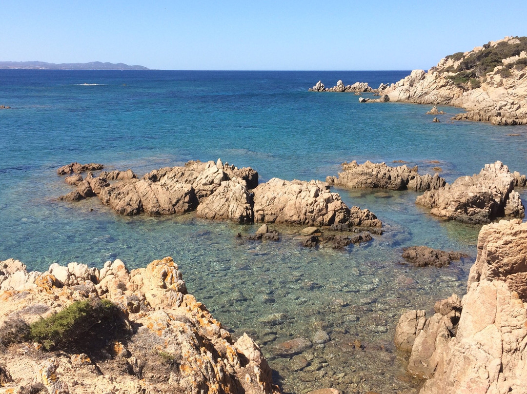 Spiaggia La Colba-圣特雷莎加卢拉必去景点