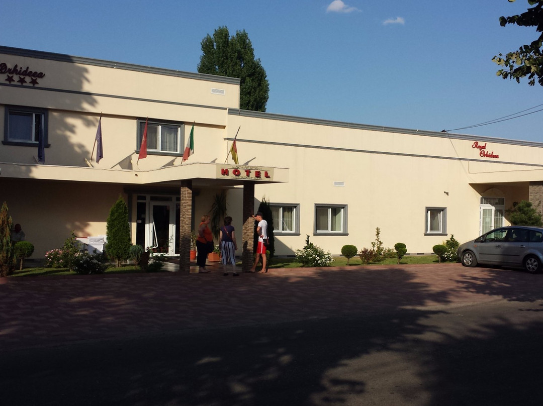 Hotel Orhideea主图