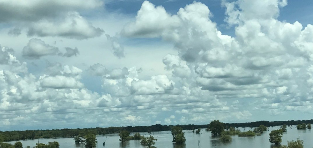 Atchafalaya Basin Bridge-巴吞鲁日必去景点
