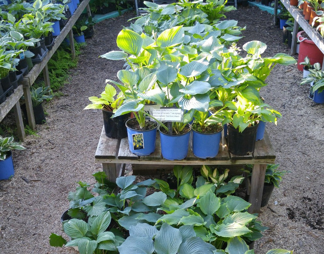 Gardens Plus-彼得伯勒必去景点