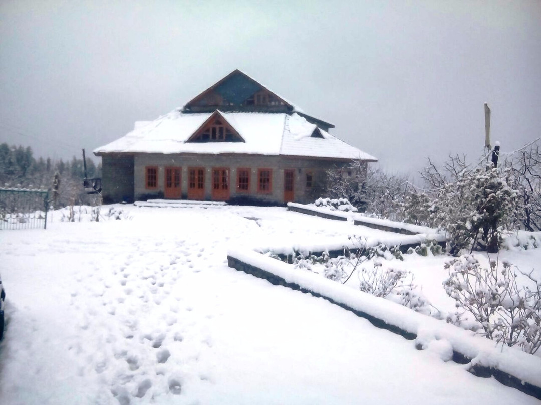 Whitemushroom-Rohanda主图