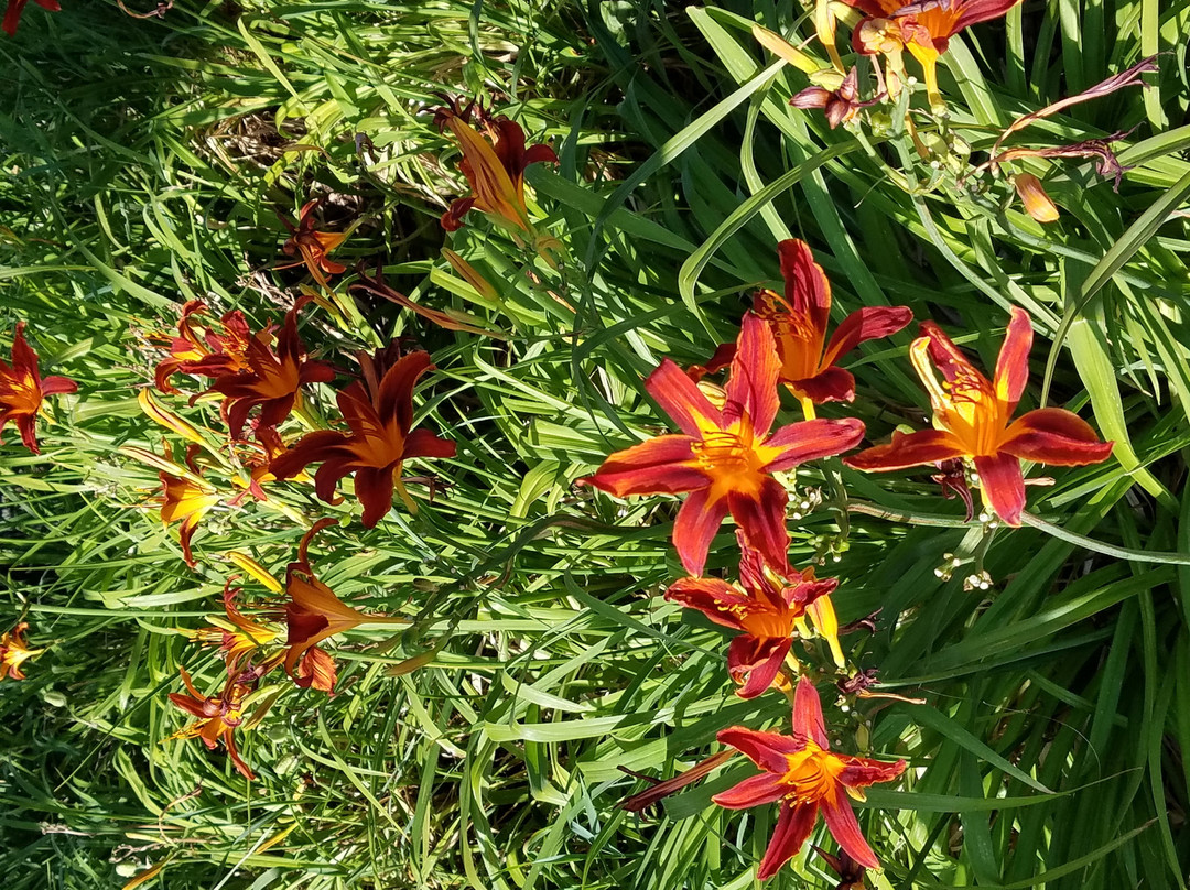 Arrowhead Park-苏福尔斯必去景点