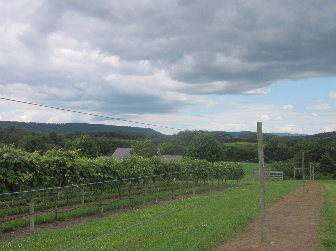 Bucks Valley Winery and Vineyards景点图片