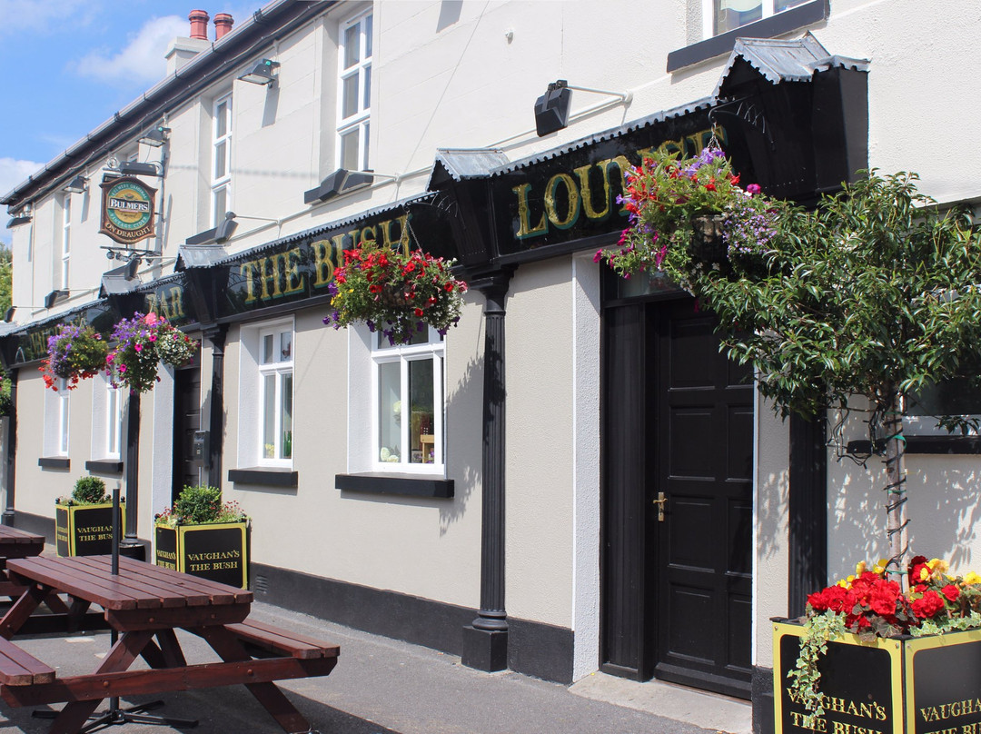 The Bush Pub-Ballysax必去景点