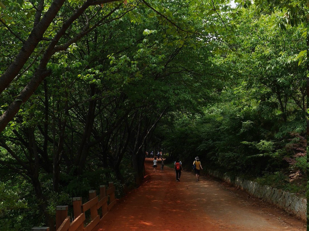 Gyejoksan Mountain Red Clay Trail-大田必去景点