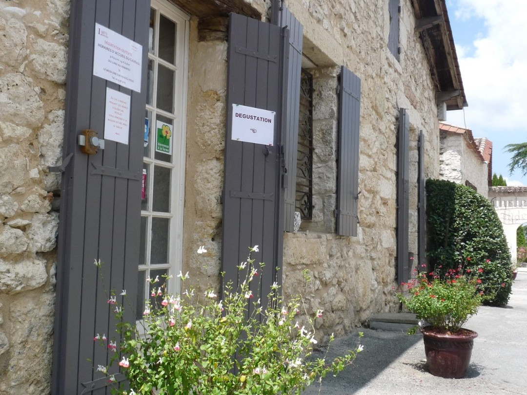 Chateau Ladesvignes景点图片