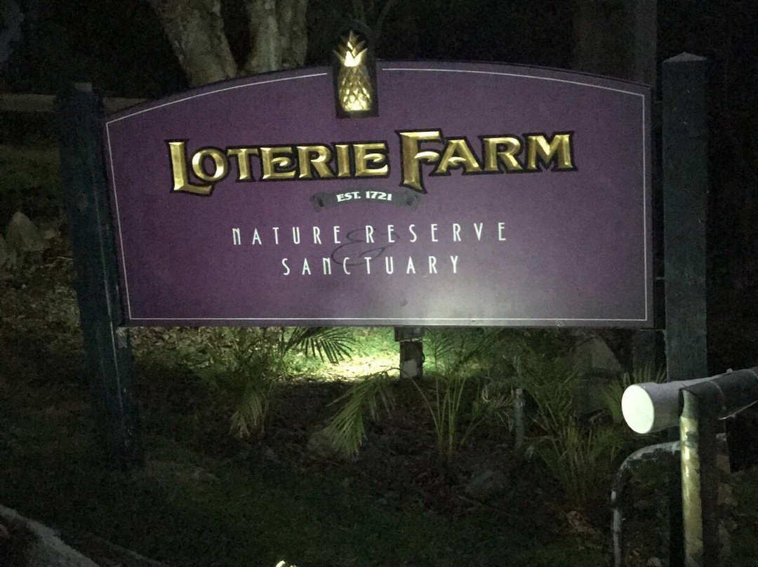 Tony Taxi and Tours-菲利普斯堡必去景点