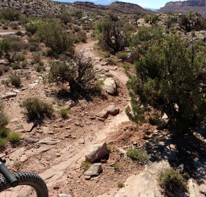 Over the Edge Sports-弗鲁塔必去景点