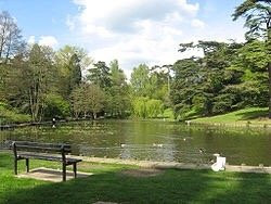 Stratford Park景点图片