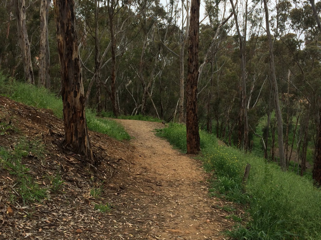 Hosp Grove Trails-卡尔斯巴德必去景点