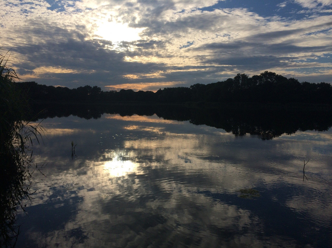 Lake Chełmzynskie Beach景点图片