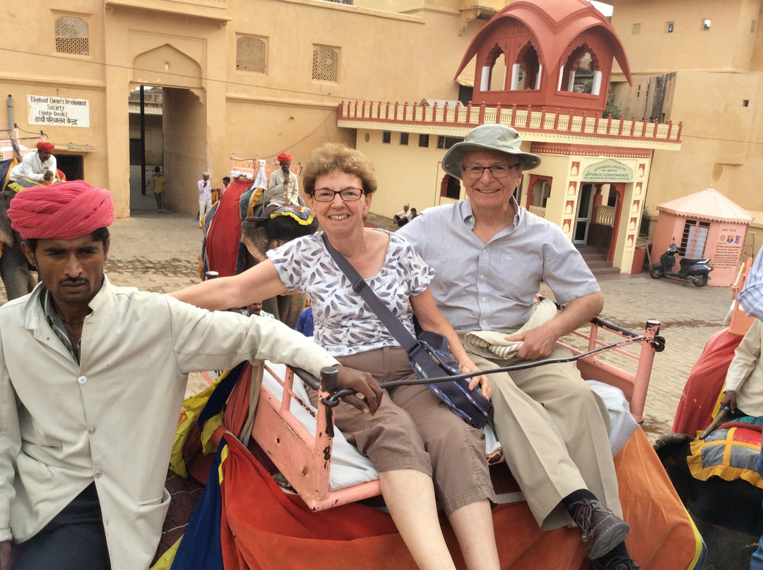 India Viajes SL – Private Day Tours-新德里必去景点