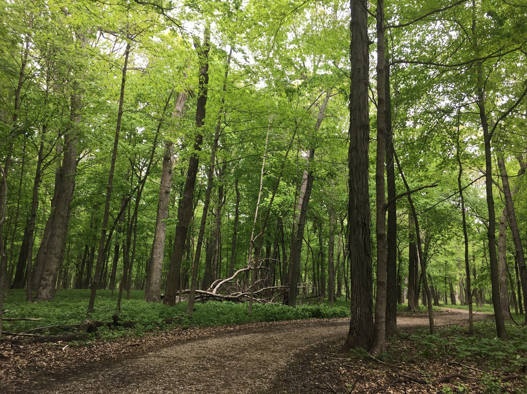 Walnut Point State Park-Oakland必去景点