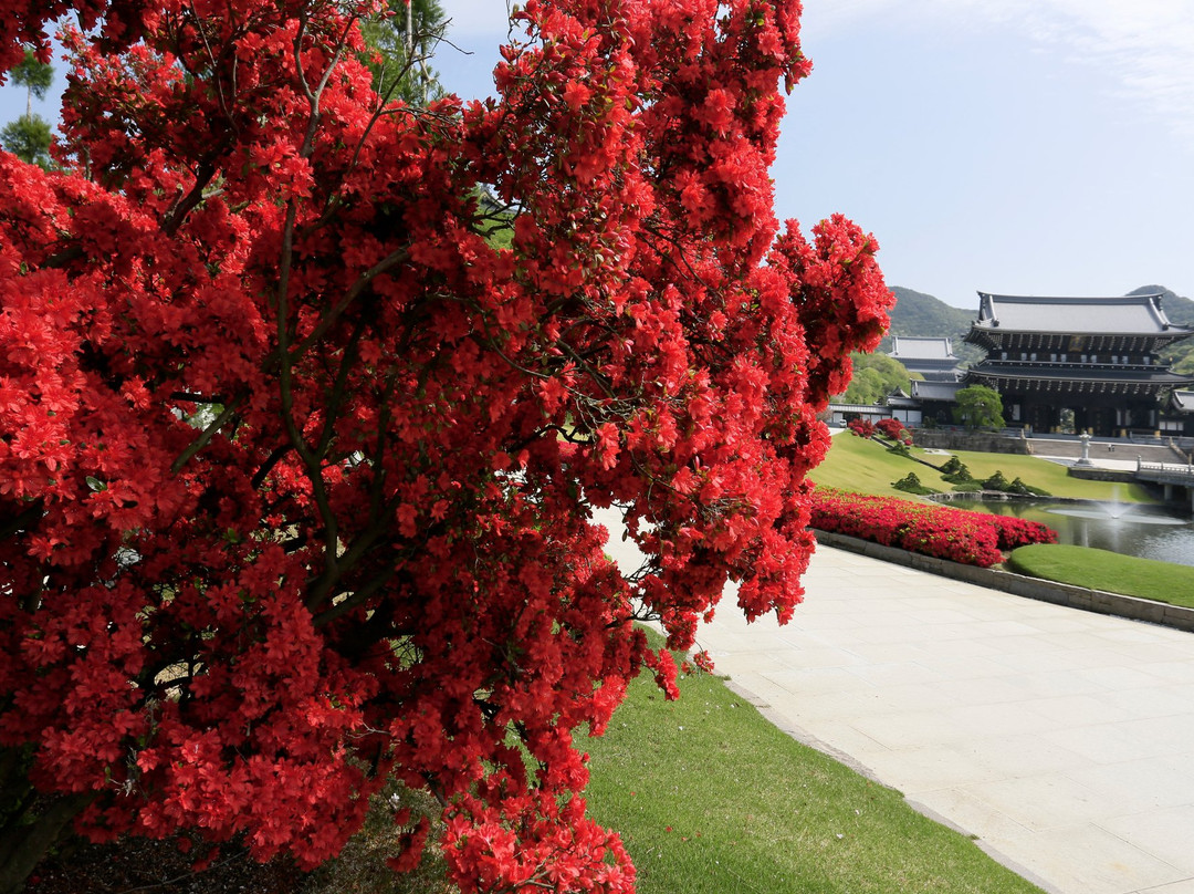 The Royal Grand Hall of Buddhism-加东市必去景点