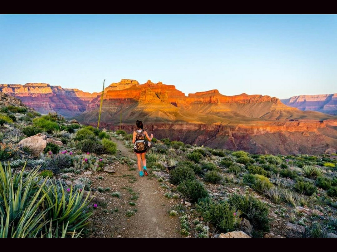 Clear Creek Trail-大峡谷国家公园必去景点
