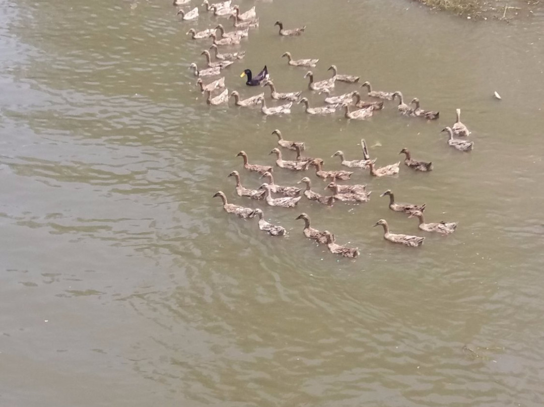 泰州溱湖风景区科普馆-泰州市必去景点